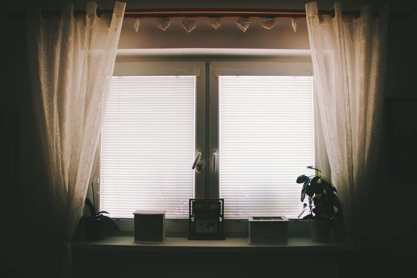 A home interior featuring a window with curtains, blinds, and potted plants.