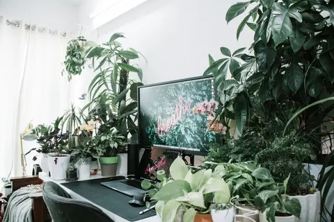 Home office with a vibrant green indoor plant decor, offering a serene work atmosphere.