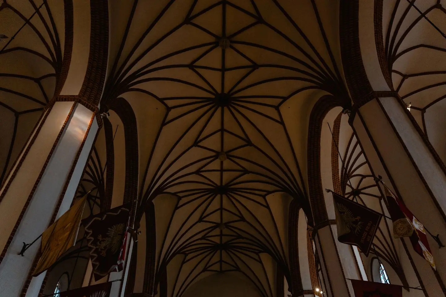 Intricate vaulted ceiling of a historic Gothic cathedral interior, showcasing architectural design.